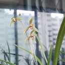 제주사계 이미지