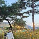 단뷰