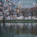 아름다운연구소 이미지