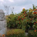 은원농장 이미지