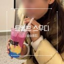 하우스오브신세계 청담 트웰브 스무디 | 레인보우 파라다이스 솔직후기&가격표/LA핫플 헤일리비버...