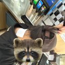 (주)카페인신현리 델리샵 | 열심히먹고만나고읽고쓰고이야기하고 👥