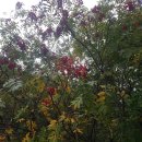 백담주차장 이미지