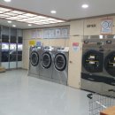 포항크린