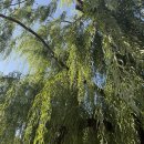 닥터배이비인후과의원 이미지