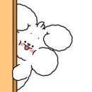 동안구청-5 이미지