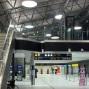 오로라요거트아이스크림 | 공항에서 시내가는 방법, 트롬소 마트 추천, 오로라, 순록 썰매, 피요르드, 노르웨이 생연어, 여행 경비...