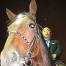 유태일약국 Daum카페