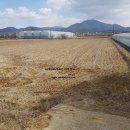 정아농장 이미지