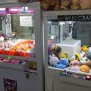 푸쉬푸쉬 뽑기방 이미지