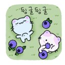 이유하이