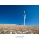 삼양목장 이미지