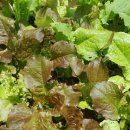 해마르펜션 이미지