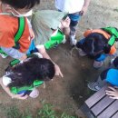 북청물장수 이미지