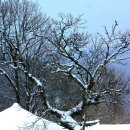 고향마을 이미지