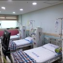 새결의원 이미지