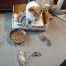 대박갤러리 이미지