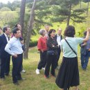 율곡면 대야로 이미지