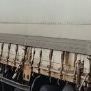 동해-단속-24 이미지