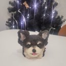 댕댕분식 이미지