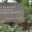 광명노인종합복지관 | 광명시립하안노인종합복지관-인생노트 프로그램