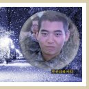 윤영진 Daum카페