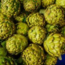 아티초크 호텔 이미지