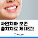이플랜트치과의원 이미지