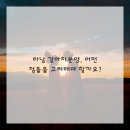 하남강아지 이미지