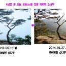 307차: 속리산 바위들의 반란 (2014.10.27.월)-2부 이미지