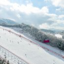 (연말/명절연휴) 비발디파크 소노펠리체 / 소노빌리지 / 소노펫 가실분!! 이미지