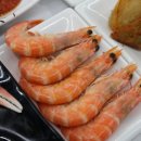 진남횟집 물회 새조개하모샤브샤브 여수돌산본점 이미지