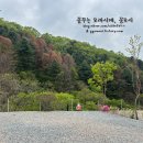 우니메이카 - 태안군 산간이길 158-24 | 우니메이카