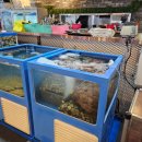 최강짬뽕 이미지