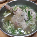 닭고을