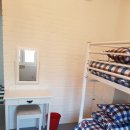 테디베어스 이미지