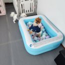 안독(Andog) 이미지