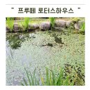 서울근교아이랑가볼만한곳 프루떼 로터스하우스 영어 개구리생태체험 후기