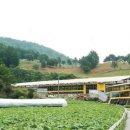 예찬목장 이미지