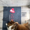 돌담펫호텔 이미지