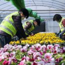 백양산 양묘장 이미지