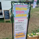 해남여행 1박2일 시티투어 이미지