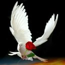 GS25 대구만촌점 이미지