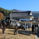 송강유도관 이미지