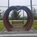 금강수변공원 숲바람장미원 이미지