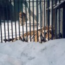 혜진축사 이미지