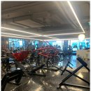 에스투짐 이미지