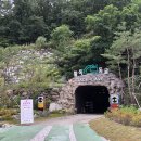 24년 8월 8일 충북청주(탄금대/활옥동굴), KBS 만남의숲 08:00 출발, 회비 70,000원 이미지