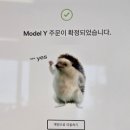 분당삼평-D-19 | [테슬라 모델Y RWD] 정신 차려보니 내 손에 계약서가... 분당 매장 지름 주의보