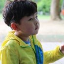 플레이블럭 이미지